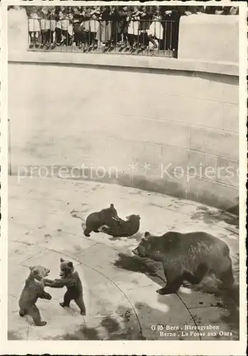 Baeren Bern Baerengraben  Kat. Tiere