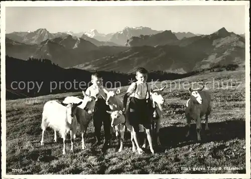 Ziege Kinder Toedi Glaernisch  Kat. Tiere