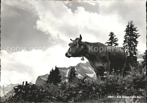 Kuehe Brunnwald Alp Kat. Tiere