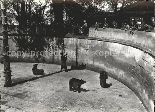 Baeren Bern Baerengraben  Kat. Tiere