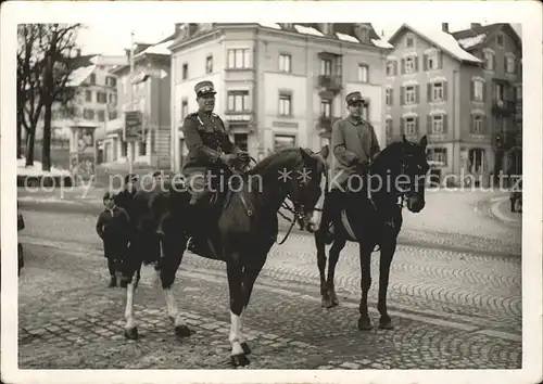Militaria Schweiz Pferde  Kat. Militaria