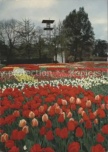 Bundesgartenschau Stuttgart Tulpen / Expositions /