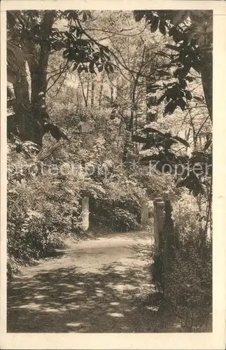 Gartenbauaustellung Altona 1914 Friedhofsabteilung  Kat. Expositions