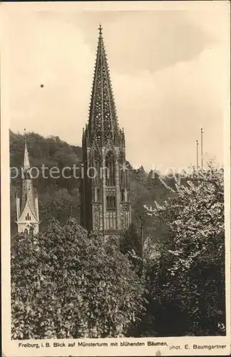 Foto Baumgartner E. Nr. 8227 Freiburg i. Br. Muensterturm  Kat. Fotografie