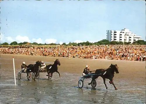 Pferdesport Pferderennen Reitsport Cuxhaven-Duhnen Trabrennen  / Sport /