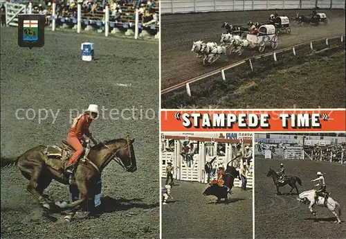 Pferdesport Pferderennen Reitsport Stampede Time / Sport /