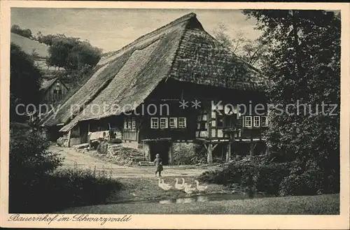 Schwarzwald Bauernhof Kat. Regionales