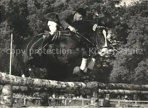 Pferdesport Pferderennen Reitsport ALA Alfons Luetke-Westhues / Sport /