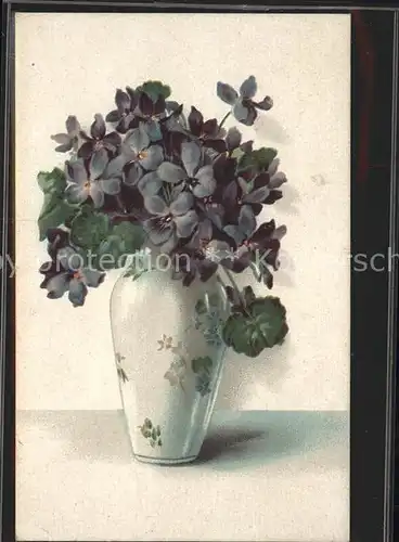 Blumen Vase Veilchen Kat. Pflanzen