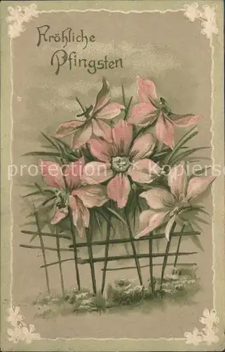 Pfingsten Pentecost Pentecote Blumen Zeichnung / Greetings /