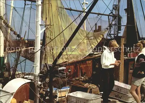 Fischerei Krabbenfischer im Hafen Wyk Foehr Kat. Handwerk