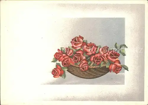 Rosen Zeichnung Kat. Pflanzen
