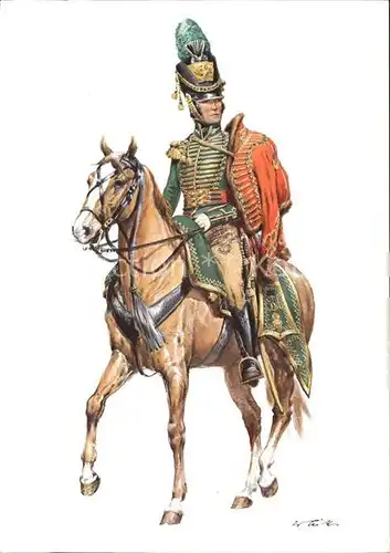 Pferde Boston Hussars Offizier Kat. Tiere