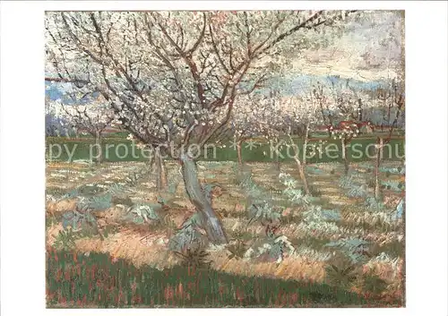 Van Gogh Vincent Abricotiers en fleur Kat. Kuenstlerkarte