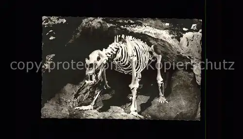 Hoehlen Caves Grottes Teufelshoehle Hoehlenbar Kat. Berge