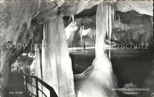 Hoehlen Caves Grottes Dachstein Rieseneishoehle Tristandom Kat. Berge