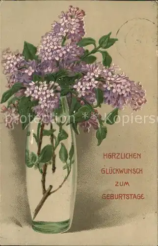 Blumen Geburtstag Flieder Vase Kat. Pflanzen