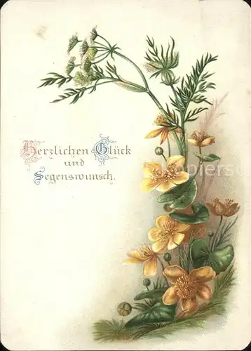 Blumen Glueck Segenswunsch Kat. Pflanzen