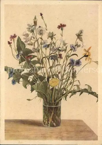 Blumen Vase Kuenstlerkarte Feldstrauss Kat. Pflanzen