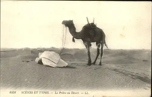 Kamele Typen Gebet Wueste Priere au Desert  Kat. Tiere