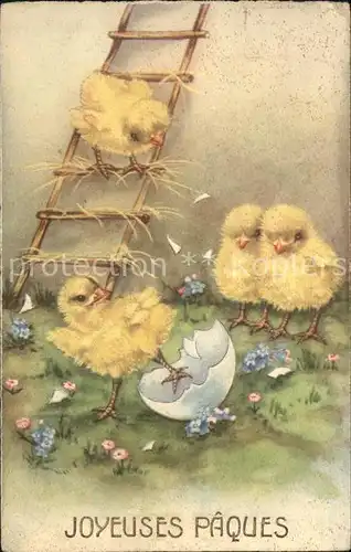 Ostern Easter Paques Kueken Leiter Blumen Eierschale  / Greetings /
