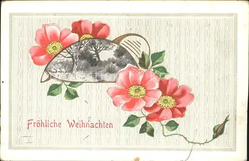 Weihnachten Blumen Rosen  Kat. Greetings