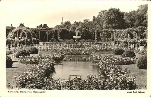 Foto Kellner Rolf Nr. 5573 Karlsruhe Stadtgarten Rosengarten  Kat. Fotografie