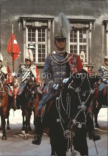 Leibgarde Wache Danish Royal Horse Guard