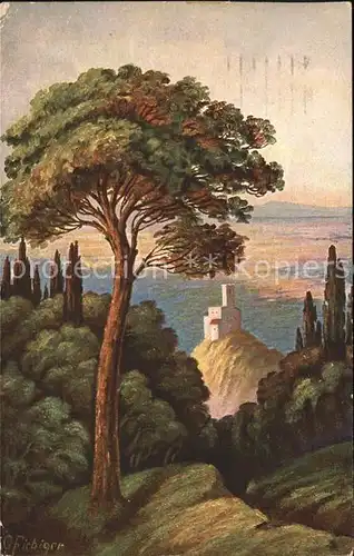 Kuenstlerkarte C. Fiebiger Landschaftsidylle Nr. 470 5 Baum  Kat. Kuenstlerkarte