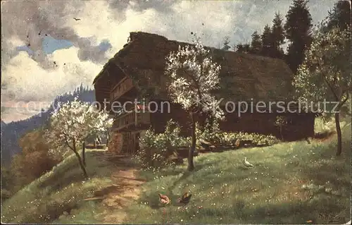 Hoffmann Heinrich Fruehling im Schwarzwald Schwarzwaldhaus Nr. 177 Kat. Kuenstlerkarte