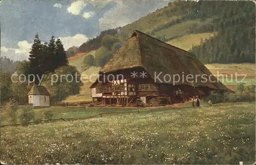 Hoffmann Heinrich Schwarzwaldhaus mit Kapellchen  Kat. Kuenstlerkarte