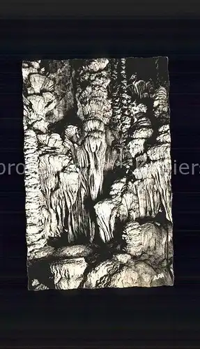 Hoehlen Caves Grottes Parcourant Gorges du Tarn Aven Armand Stalagmites Foret Vierge Kat. Berge