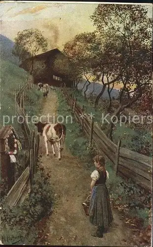 Hoffmann Heinrich Am Abend Kuh Maedchen  Kat. Kuenstlerkarte