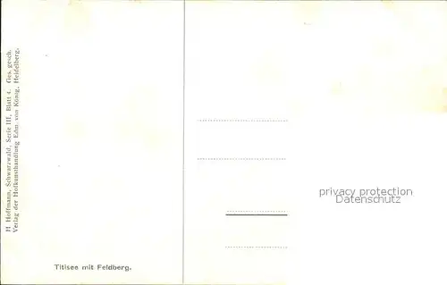 Hoffmann Heinrich Titisee mit Feldberg Kuehe Weide  Kat. Kuenstlerkarte