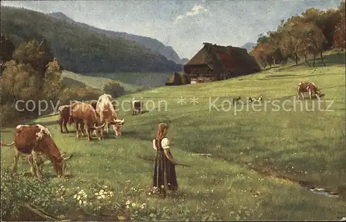 Hoffmann Heinrich Weidende Herde Nr. 179 Kuehe  Kat. Kuenstlerkarte