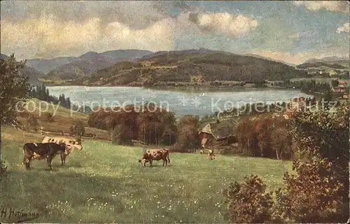 Hoffmann Heinrich Titisee mit Feldberg Nr. 201 Kuehe Weide Kat. Kuenstlerkarte
