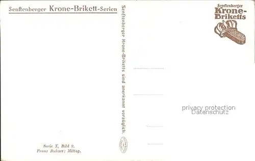 Kuenstlerkarte Franz Bukacz Mittag Senftenberger Krone Brikett Serien Kat. Kuenstlerkarte