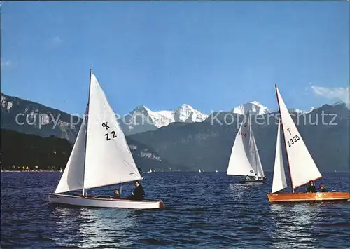 Segelboote Thunersee Eiger Moench Jungfrau Kat. Schiffe