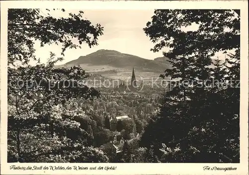 Foto Baumgartner E. Nr. Freiburg i. Br. Kat. Fotografie