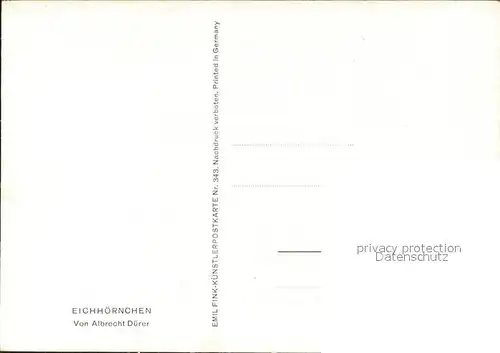 Duerer Albrecht Nuernberg Nr. 343 Eichhoernchen Kat. Kuenstlerkarte