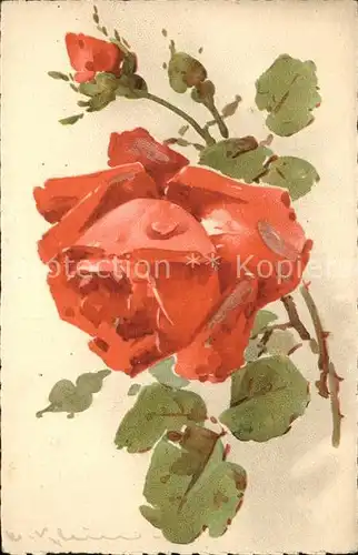 Klein Catharina Rose Kat. Kuenstlerkarte