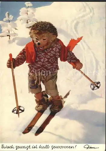 Mecki Nr. 326 Ski Skifahren  Kat. Comic