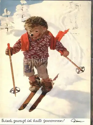 Mecki Nr. 326 Ski Skifahren Schal  Kat. Comic