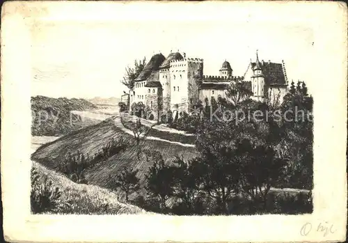 Radierung Schloss Lenzburg  / Druckereigewerbe /