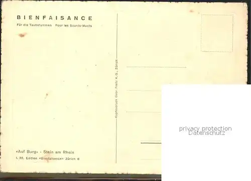 Radierung Strauss Auf Burg Stein am Rhein I. 32. Edition Bienfaisance / Druckereigewerbe /