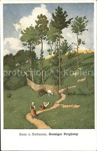 Kuenstlerkarte Hans v. Volkmann Sonniger Berghang Nr. 128 Schafe Baeume Wiese Kat. Kuenstlerkarte