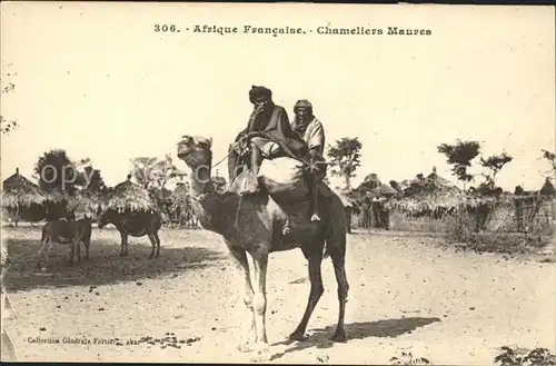 Kamele Afrique Francaise Chameliers Maures  Kat. Tiere
