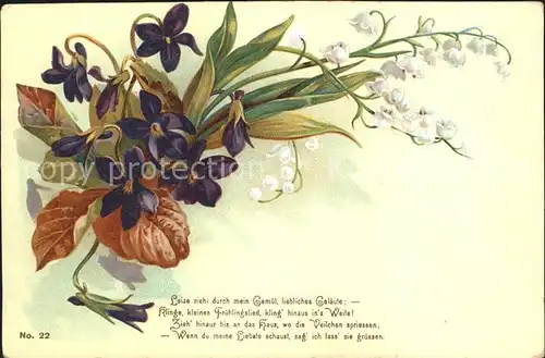 Blumen Maigloeckchen Veilchen Gedicht  Kat. Pflanzen