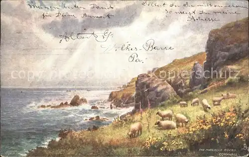 Verlag Tucks Oilette Nr. 7117 Manacle Rocks Cornwall Schafe  Kat. Verlage