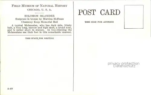 Skulpturen Solomon Islander Melanesia Field Museum of Natural History Chicago Kat. Skulpturen